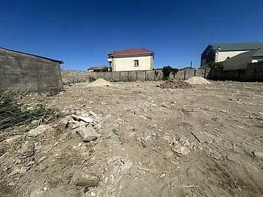 20 sot, Tikinti, Kupça (Çıxarış) — 2