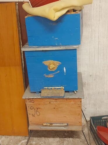 Коровы, быки: Arı yeşikleri
Yaxşı veziyyetdedir
Ehtiyyac olmadığı üçün satılır — 3