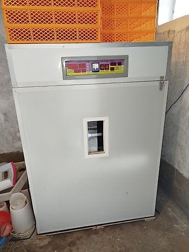 Avadanlığın icarəsi: 1100 yumurta — 1