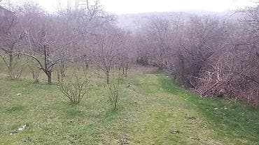 bag evleri: Çaykənd, 160 kv. m, 5 otaqlı, Qaz, İşıq, Su — 10