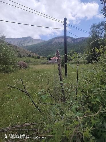 Tikinti — 2