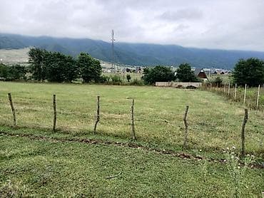 saray heyet ev type 1: 32 sot, Tikinti, Mülkiyyətçi, Kupça (Çıxarış) — 2