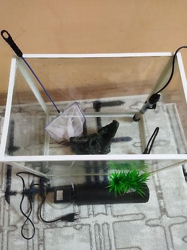 Dördbucaq akvarium, Boş, 40 l, Ödənişli çatdırılma