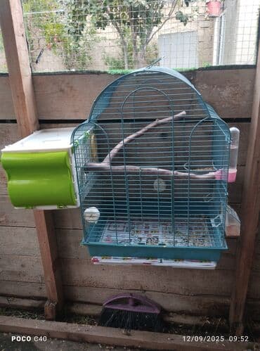 elf bar en ucuz: Qefes 15.45 azn yeke iri qefeslerdi balacada var Tezedi Qəfəs — 1