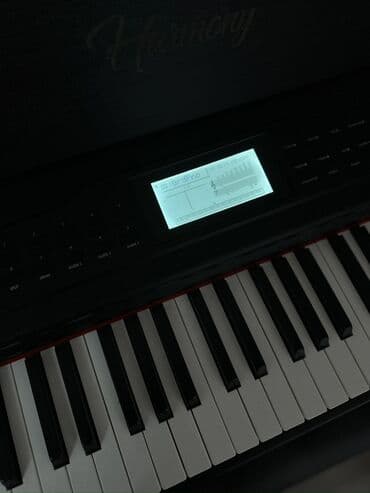 Akkordeonlar: Piano, Rəqəmsal — 3