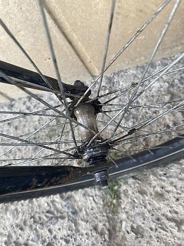 velsebedler: Velosipedin problemi bir dənə qabaq diskisin içidir, diskinin içi — 2
