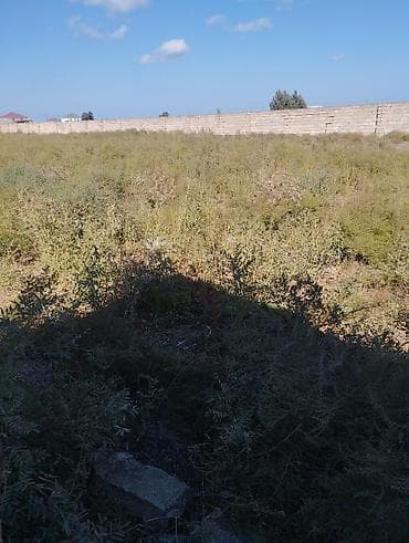 samuxda torpaq satilir: Tikinti — 6