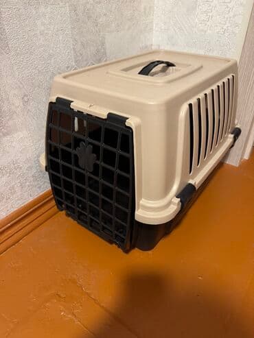 купить кошку в баку: Самка, В добрые руки, Самовывоз, Платная доставка — 1