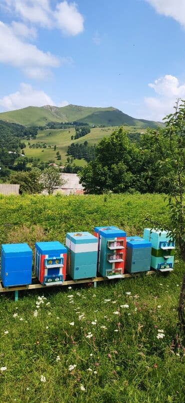 продается мед: Elf bee's 1977 eco product for health and longevity tovuzun — 11