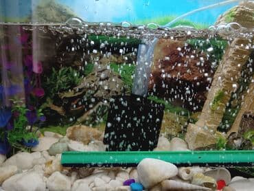 Lincoln: Tam komplekt akvarium seti - Şüşə akvarium, üst qapaqlı - Daxili — 9