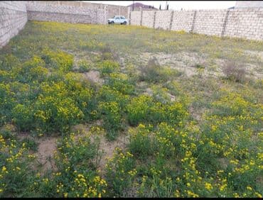 dübəndi torpaq: 5 sot, Tikinti, Makler, Kupça (Çıxarış) — 3