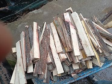 Саженцы растений: Quru odun çipləri – soba, kamin və manqal üçün 1 qazeli - — 10