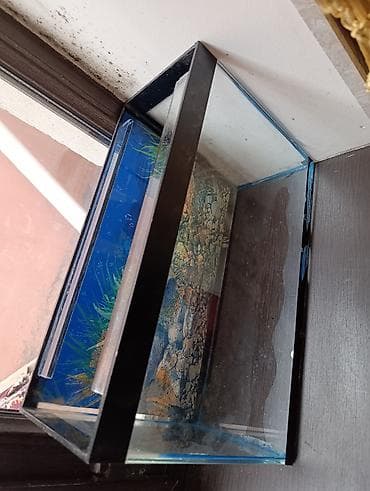 Akvaryum – şüşə korpuslu, klassik düzbucaqlı forma. Qara plastik