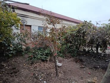 25000 manata evler: Satılır: Ünvan Salyan Rayon Taleh Davudzade küçəsi Pambıq Zavodu — 6