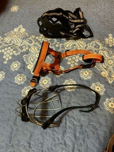 enzo шампунь отзывы: İt aksesuarları dəsti, tek tek qiymetler qeyd edilib endirim yoxdur — 5