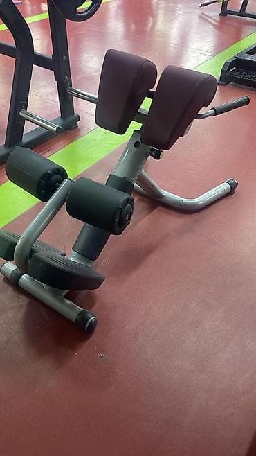 amino protein haqqinda: Peşəkar fitnes zalı üçün hip extension/hiperextensions (arxa — 2