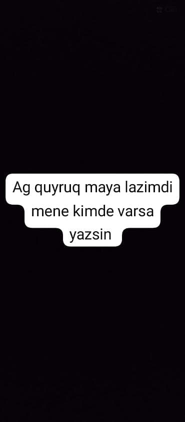 ev qus: Mene ag quyruq maya lazimdi wpda aktivdi — 1