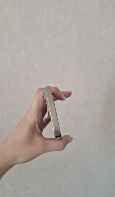 ikinci el 15 pro max: IPhone 15 Pro Max, Natural Titanium — 5