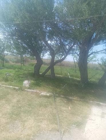 Гаражи: Xızı rayonu, Bakı–Quba yolu, Yaşma qəsəbəsi — ferma və əkinçilik üçün — 8