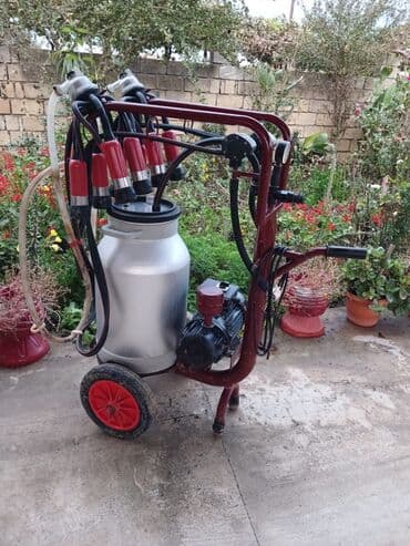 Tək bidon, Paslanmaz bidon