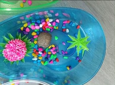 hələb kecilərin qiyməti: Mini Tısbağa Endirimdədir hal hazırda. 1 ədədi 20-25 manat — 2