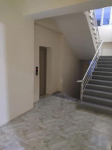 binede satilan evler: 2 otaqlı, Yeni tikili, 53 kv. m — 2