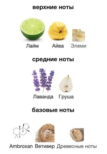 men s defence в бишкеке: Paradise Man tapılmayan ətirlərdəndir. Neftçilərə və st. Bakıxanova — 3