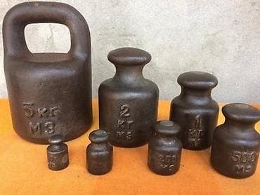 simmental inək cinsi: 1 l — 1