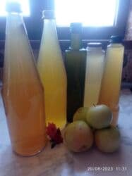 puls oksimetr: 🍎Hələ qədim zamanlardan xalq təbabətində geniş istifadə olunan alma — 2