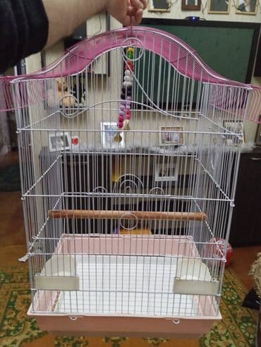 Heyvanlar üçün mallar: Salam. Tep teze iri kletka satiram. Curuyu,eziyi pasi yoxdur — 1