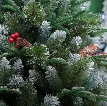 kremlovski yolka: Yolka — 3