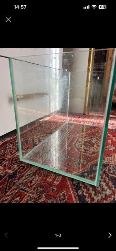 canlı yem: Dördbucaq akvarium, Boş, 34 l, Ödənişli çatdırılma, Ünvandan götürmə — 3