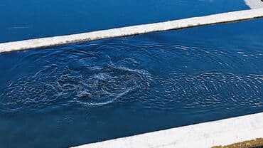 xacmazda torpaq qiymetleri: Təcili satılır. Real alıcı ilə razılaşmaq olar. Xaçmaz rayonu — 1