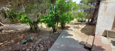 kiridit ev: Sahəsi geniş, yaşıllaşdırılmış həyəti olan bina. Həyətdə ağaclar — 8