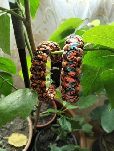 Eynəklər: Bilərzik — 2