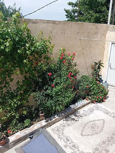 evler villa: Əmircan qəs. 3 otaqlı, 200 kv. m, Orta təmir — 6