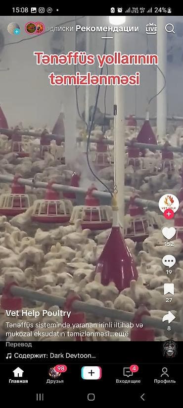 Dezinfeksiya, dezinseksiya