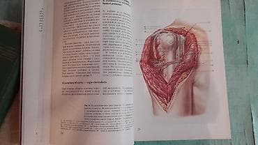 Velosiped ehtiyyat hissələri: Продам книгу "Хирургическая анатомия конечности человека" Москва 1983 — 8