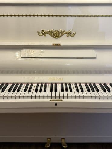 Словари: Пианино, Rönisch, Акустический, Новый, Бесплатная доставка — 2