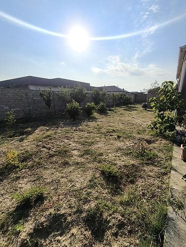 hasar setka: 12 sot torpaq Qala Şüvəlan yolun üzərində Məhsul: Həyət/bağ sahəsi — 4