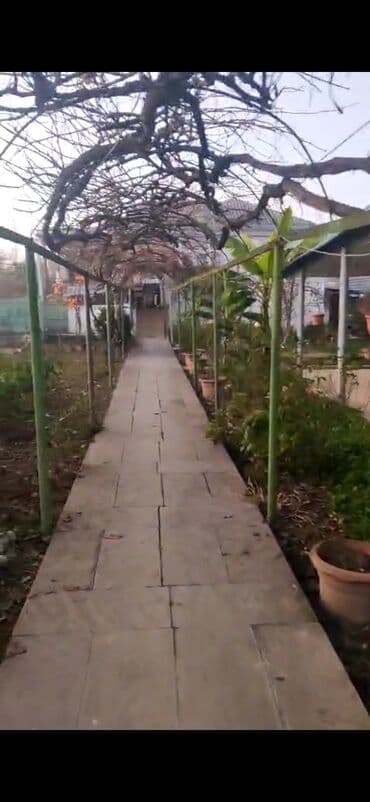 dernegulde kiraye ev: 4 otaqlı, 220 kv. m, Orta təmir — 3