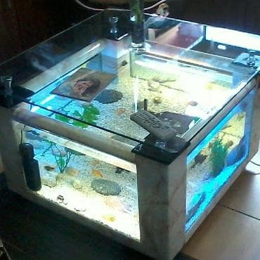 cat: Akvarium-şkaf, 1000 l, Pulsuz çatdırılma — 7