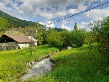 ələt torpaq: 3 sot, Biznes üçün, Makler, Kupça (Çıxarış) — 12
