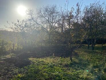 qubada torpaq satilir 2020: 10 sot, Mülkiyyətçi, Kupça (Çıxarış) — 6