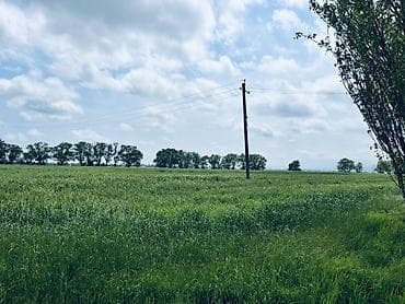 sumqayıt ev alqı satqısı 2018: Для сельского хозяйства, Купчая — 3