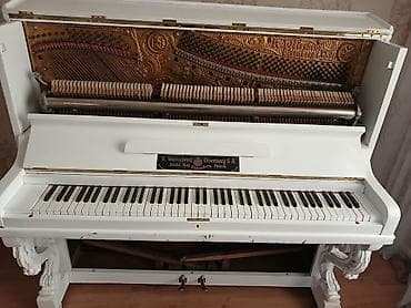 elektrikli scooter satisi: Piano, Akustik — 3