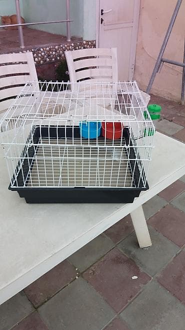 Pişiklər: Клетка для попугаев,размеры-46×46см,высота-33см.кормушки и поилка в — 3