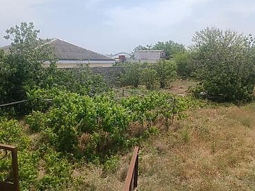 basavik satisi: 12 sot, Tikinti, Makler, Kupça (Çıxarış) — 4