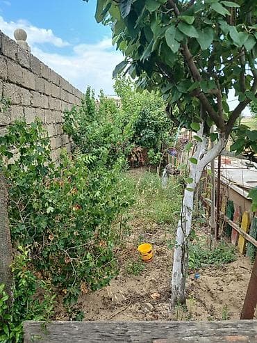 Nardaran qəs. 3 otaqlı, 3 kv. m, Kredit yoxdur, Orta təmir
