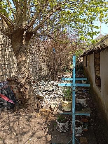 mestagada ev: Tikinti, Kupça (Çıxarış) — 2